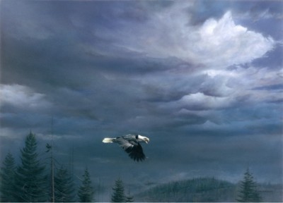 eagle-storm
